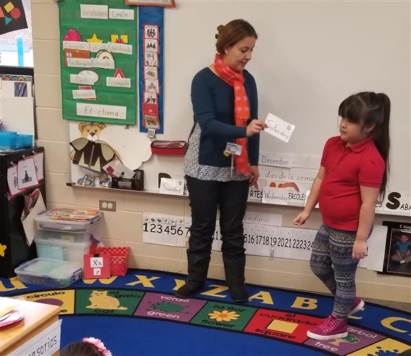 Dual Language Dual Language