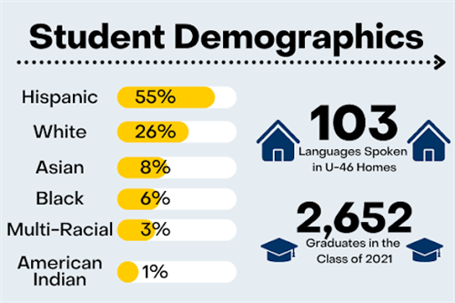 Graphic of Student Demographics