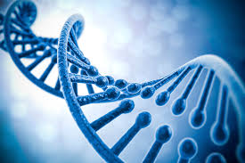 Biology Biology
