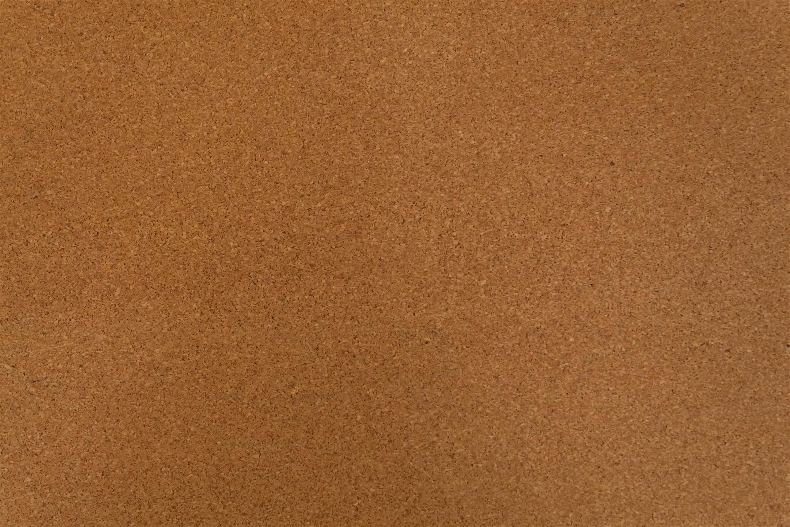  A blank corkboard 