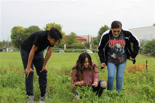 students picking vegetables 