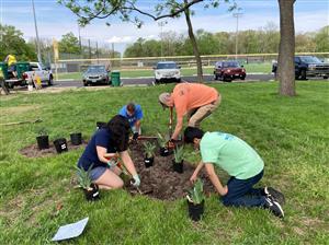 people planting garden