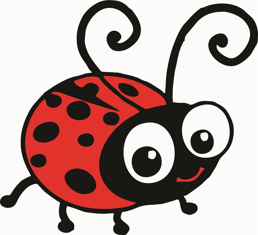 ladybug