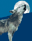 Wolf Den
